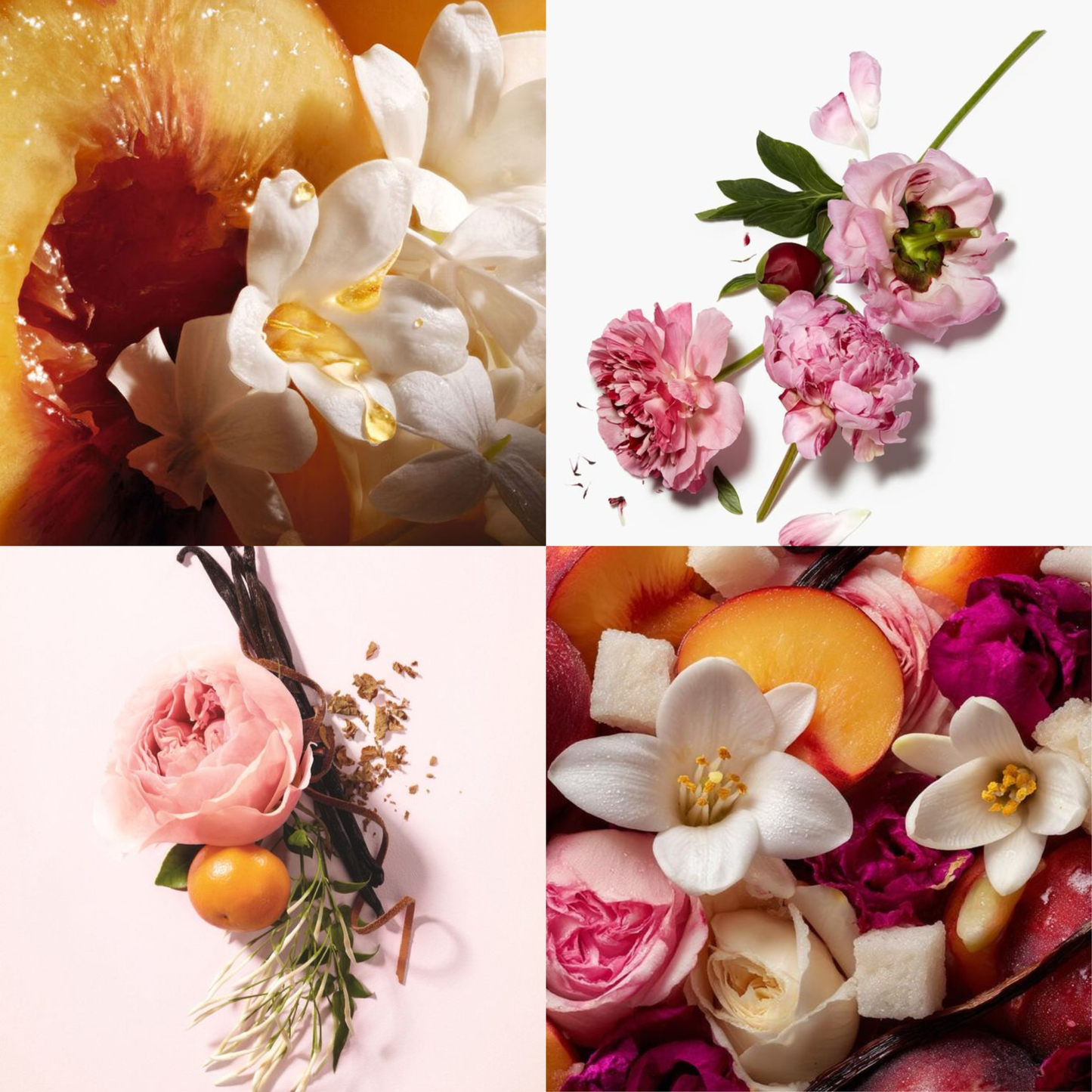 Floral Muse Candle